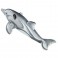 شناور دلفینی بزرگ